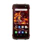 Blackview BV6600 4/64GB Orange/Black hind ja info | Telefonid | kaup24.ee