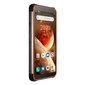 Blackview BV6600 4/64GB Orange/Black hind ja info | Telefonid | kaup24.ee