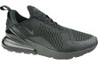 Meeste tossud Nike, AH8050-005 hind ja info | Spordi- ja vabaajajalatsid meestele | kaup24.ee