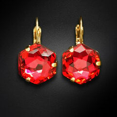 Naiste kõrvarõngad Diamond Sky „Fantasy (Scarlet)“ koos Swarovski kristallidega hind ja info | Kõrvarõngad | kaup24.ee