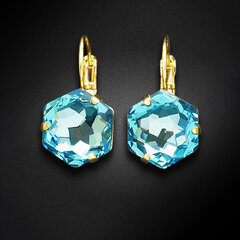 Naiste kõrvarõngad Diamond Sky „Fantasy (Aquamarine)“ koos Swarovski kristallidega hind ja info | Kõrvarõngad | kaup24.ee