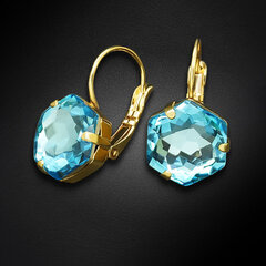 Naiste kõrvarõngad Diamond Sky „Fantasy (Aquamarine)“ koos Swarovski kristallidega hind ja info | Kõrvarõngad | kaup24.ee