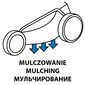 Bensiinimootoriga iseliikuv muruniiduk GRAPHITE 52G671 цена и информация | Muruniidukid | kaup24.ee