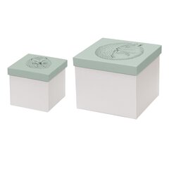 Набор картонных коробок Green (2шт) цена и информация | Ящики для вещей | kaup24.ee