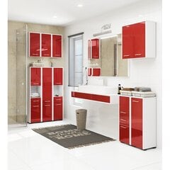 Шкафчик для ванной комнаты NORE Fin 1537, белый/красный цена и информация | Шкафчики для ванной | kaup24.ee