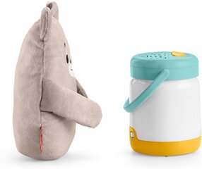 Мишка с фонарем Fisher Price, GRR00 цена и информация | Игрушки для малышей | kaup24.ee