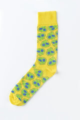 Цветные носки Funky Steps цена и информация | Мужские носки | kaup24.ee