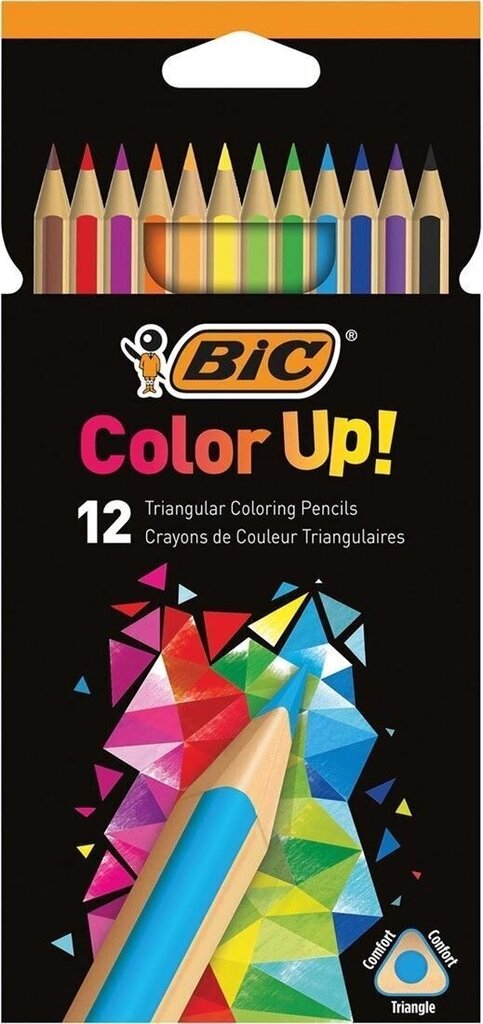 Värvipliiatsid Color Up, 12 värvi komplektis 950527 hind ja info | Kunstitarbed, voolimise tarvikud | kaup24.ee
