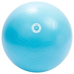 Гимнастический мяч Pure2improve, 65 см цена и информация | Гимнастические мячи | kaup24.ee
