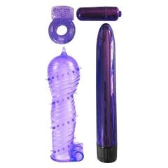 Seksitoodete komplekt Classix Ultimate Pleasure Couples Kit, lilla, 4 tk цена и информация | Наборы секс-товаров | kaup24.ee