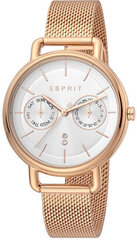 Женские часы Esprit Ellen ES1L179M0095 цена и информация | Женские часы | kaup24.ee