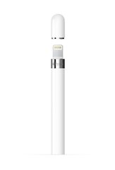 Apple Pencil MK0C2ZM/A цена и информация | Аксессуары для планшетов, электронных книг | kaup24.ee