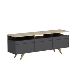 ТВ столик Kalune Design 382 150 см, серый цена и информация | Тумбы под телевизор | kaup24.ee