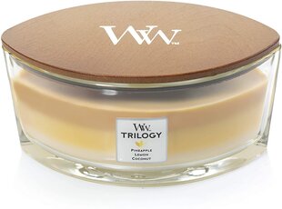 WoodWick lõhnaküünal Trilogy Elipsa Fruits of Summer, 453,6 g hind ja info | Küünlad, küünlajalad | kaup24.ee