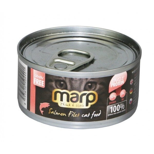 Lõhefilee Marp Think Holistic Cat Food, 70 g цена и информация | Konservid kassidele | kaup24.ee