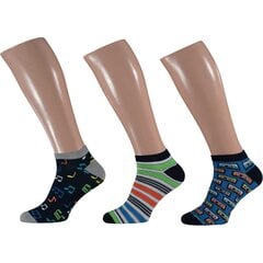 Короткие носки для мужчин Apollo, 3 пары цена и информация | Мужские носки | kaup24.ee