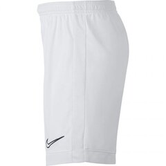 Laste lühikesed spordipüksid Nike Dry Academy JR AO0771- 101 (46801) hind ja info | Poiste lühikesed püksid | kaup24.ee
