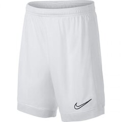 Laste lühikesed spordipüksid Nike Dry Academy JR AO0771- 101 (46801) цена и информация | Шорты для мальчиков | kaup24.ee