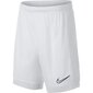 Laste lühikesed spordipüksid Nike Dry Academy JR AO0771- 101 (46801) цена и информация | Poiste lühikesed püksid | kaup24.ee