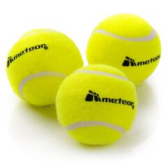 Lauatennise pallid METEOR, 3 tk цена и информация | Товары для большого тенниса | kaup24.ee