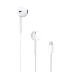 Apple EarPods MMTN2ZM/A с разъемом Lightning белые kaina ir informacija | Наушники | kaup24.ee