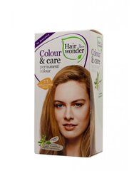 Hairwonder Color & Care pikaajaline juuksevärv ilma ammoniaagita värvi keskmine kuldblond 7.3 hind ja info | Juuksevärvid | kaup24.ee