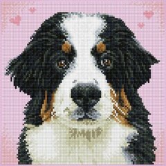 Teemant mosaiik Say Hello To Zuzu, 29 x 29 цена и информация | Алмазная мозаика | kaup24.ee