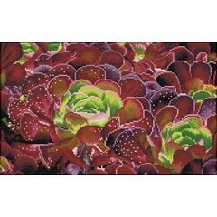 Teemantmosaiik Succulents, 32x52 цена и информация | Алмазная мозаика | kaup24.ee