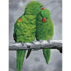 Алмазная мозаика Sweet Perch, 41x30 цена и информация | Алмазная мозаика | kaup24.ee