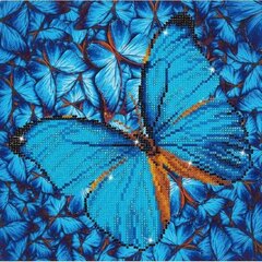 Teemantmosaiik Flutter By Blue, 30x30 цена и информация | Алмазная мозаика | kaup24.ee