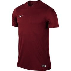 Мужская спортивная футболка Nike Park VI M 725891-677, 44487, бордовая цена и информация | Мужская спортивная одежда | kaup24.ee