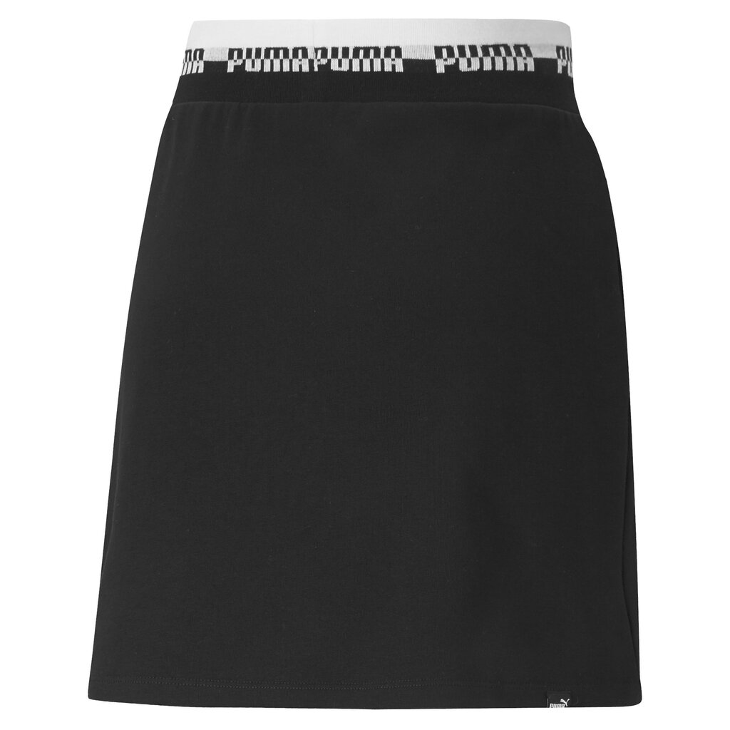 PUMA AMPLIFIED Skirt цена и информация | Naiste spordiriided | kaup24.ee