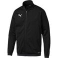 Meeste dressipluus Puma Liga Training Electric M 655687 03