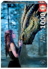 Pusle Draakon tüdrukuga, 1000 tk hind ja info | Pusled | kaup24.ee