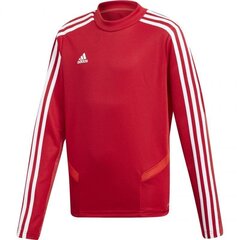 Poiste džemper Adidas Tiro 19 Junior D95939, punane цена и информация | Свитеры, жилетки, пиджаки для мальчиков | kaup24.ee