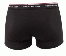 Tommy Hilfiger мужские трусы, 3 шт. цена и информация | Мужские трусы | kaup24.ee