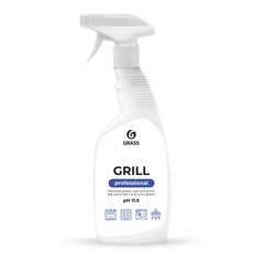 Koristaja “Grill” Professional (600 ml pudel) hind ja info | Puhastusvahendid | kaup24.ee