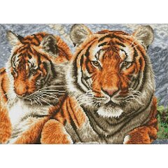 Teemantmosaiik Tigers, 37x51 цена и информация | Алмазная мозаика | kaup24.ee