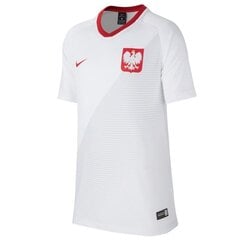Nike рубашка спортивная мужская Poland Breathe Top Home Jr 894013 100, белая цена и информация | Мужская спортивная одежда | kaup24.ee