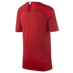 Spordi T-särk Nike Poland Breathe Stadium Away Jr 894014 611 цена и информация | Рубашки для мальчиков | kaup24.ee