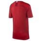 Spordi T-särk Nike Poland Breathe Stadium Away Jr 894014 611 цена и информация | Poiste särgid | kaup24.ee