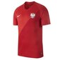 Spordi T-särk Nike Poland Breathe Stadium Away Jr 894014 611 цена и информация | Poiste särgid | kaup24.ee