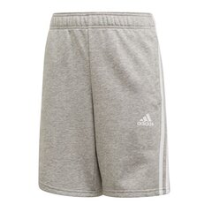 Poiste lühikesed spordipüksid Adidas MH 3Stripes Short Junior ED6466 49319 hind ja info | Poiste lühikesed püksid | kaup24.ee