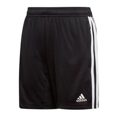 Шорты для мальчиков Adidas Tiro 19 Training Short JR D95946, черные цена и информация | Шорты для мальчиков | kaup24.ee