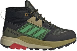 Jalatsid Adidas Terrex Trailmaker Mid R.Rdy K Black цена и информация | Детские сапоги | kaup24.ee