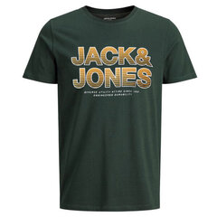Jack & Jones meeste T-särk hind ja info | Meeste T-särgid | kaup24.ee