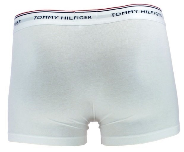 Meeste alusüksid Tommy Hilfiger, 3 tk. hind ja info | Meeste aluspesu | kaup24.ee