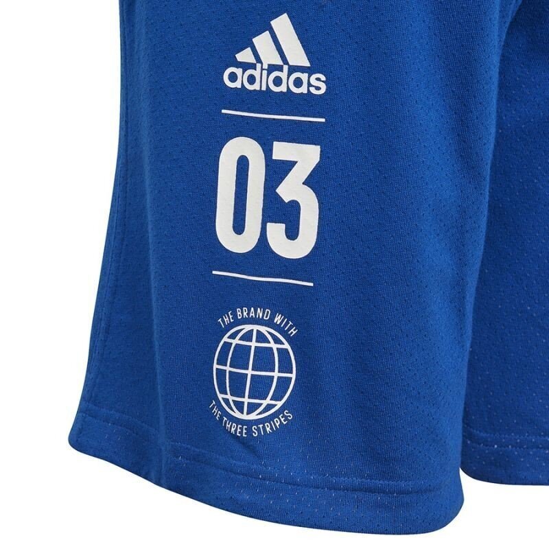 Poiste lühikesed püksid Adidas YB Sid Short Jr DV1703, sinine hind ja info | Poiste lühikesed püksid | kaup24.ee