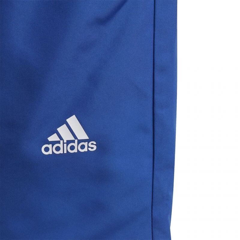 Poiste ujumispüksid Adidas YB Bos Jr GE2047, 62390 цена и информация | Poiste ujumispüksid | kaup24.ee