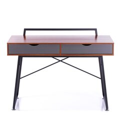 Письменный стол Homede Dust, коричневый/черный цена и информация | Компьютерные, письменные столы | kaup24.ee